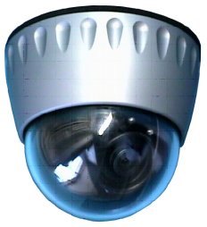 Norfolk Security Camera